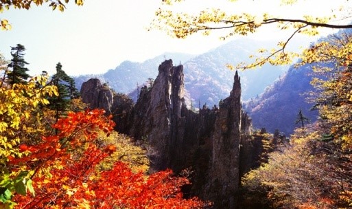 금강산의 가을 풍경.jpg