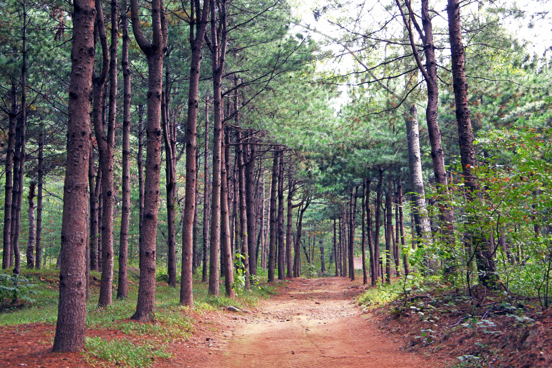 서울대공원, ‘4종 산림치유 프로그램’ 운영 개시