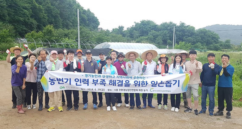 농식품유통진흥원, 지역사회 공헌을 위한 ‘농가 일손돕기’ 행사 진행