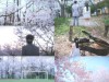 뮤지컬 '4월은 너의 거짓말' 감성 예고 영상 공개