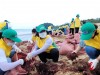 신천지자원봉사단 동해지부의 아름다운 봉사 ... ‘자연아푸르자’ 환경정화활동 진행