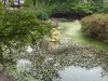 덕수궁 연못에서 만나는 프랑스 현대미술가 장-미셸 오토니엘 전시회 6월 16일 서울시립미술관 개막