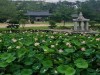 속초 영랑호 보광사, 400주년 문화재 탐방 ‘내 마음속의 풍경’ 개최