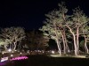 밀양시 무안면, 표충비각공원에 불빛정원 점등식