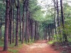 서울대공원, ‘4종 산림치유 프로그램’ 운영 개시