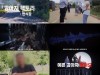 '악인취재기'  끔찍한 '강아지 공장' 실체 고발