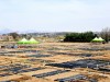 2022년 파주주말농장(금촌, 문산) 4월 개장
