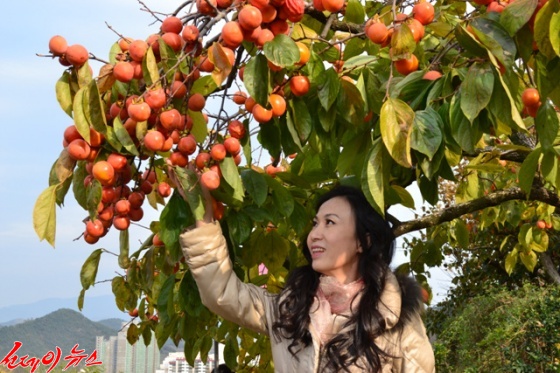 헤라가 경남 김해시 진영읍의 한 단감농원에서 농촌체험을 한 후 기념촬영하고 있다.