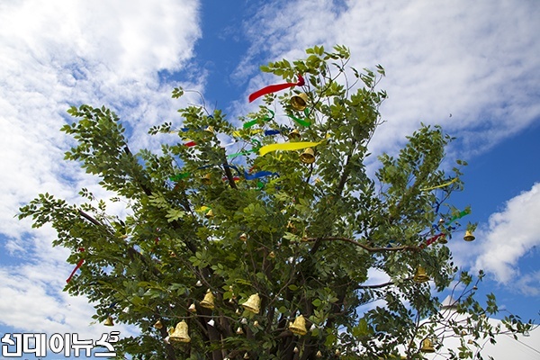 6일 오전 임진각 평화누리공원에서 열린 '2015 경기도 다문화한마당 축제'에서 참가자들이 소망을 적은 희망연리지 나무에 소망종들이 메달려있다.
